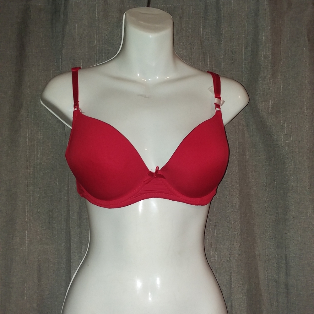 An Fashion Nova Red Bra
